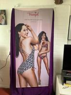 Triumph wand relamedoek, Ophalen of Verzenden, Zo goed als nieuw, Deurposter of groter, Film en Tv