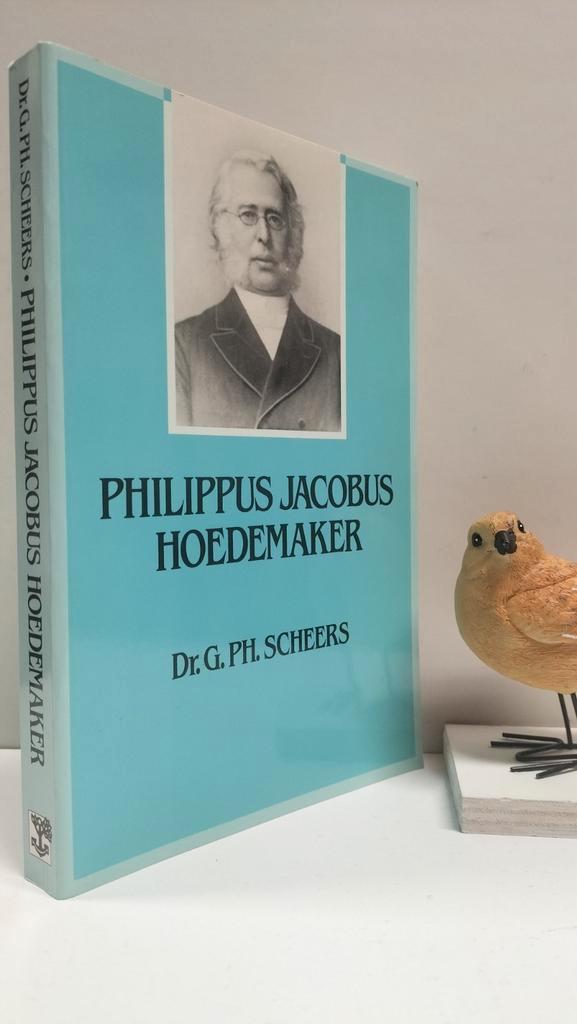 Scheers, Dr. G. Ph.; Philippus Jacobus Hoedemaker, Boeken, Godsdienst en Theologie, Gelezen, Christendom | Protestants, Ophalen of Verzenden