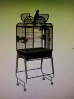 Vogelkooien, Dieren en Toebehoren, Vogels | Hokken en Kooien, Ophalen, Hout, Vogelkooi