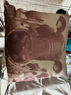 Leuke Buitenkussens, Ophalen of Verzenden, Gebruikt, Overige kleuren, Vierkant