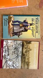 L. Lambregts - Een steen in de vijver, Ophalen of Verzenden, Zo goed als nieuw, Nederland, L. Lambregts