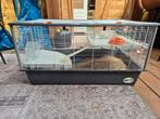 Hamster / kaviakoi, Dieren en Toebehoren, Knaagdieren en Konijnen | Hokken en Kooien, Minder dan 60 cm, Kooi, Minder dan 75 cm