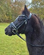 B pony hoofdstel met Sprenger bit 14mm, Dieren en Toebehoren, Ophalen of Verzenden, Zo goed als nieuw, Dressuur