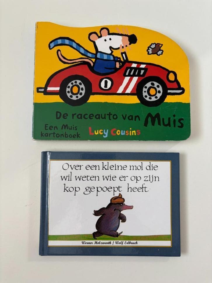 2 Peuter/kleuter boekjes Werner Holzwarth / Lucy Cousins, Boeken, Kinderboeken | Kleuters, Zo goed als nieuw, Fictie algemeen