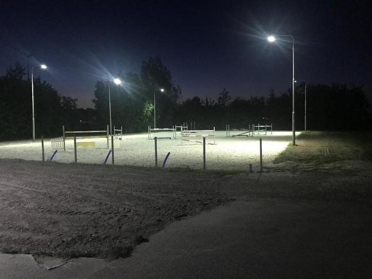 Pensionstalling op privestal, Dieren en Toebehoren, Stalling en Weidegang, Stalling, Weidegang, 4 paarden of pony's of meer