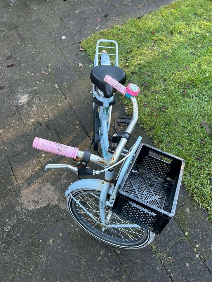 Meisjesfiets alpina cargo 20 inch, Fietsen en Brommers, Fietsen | Meisjes, Zo goed als nieuw, 20 inch, Ophalen