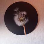 MUURCIRKEL VAN ALUMINIUM                     als nieuw  !!, Ophalen, 50 tot 75 cm, Zo goed als nieuw, Schilderij