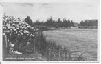 Groningen Vijver Stadspark., Ophalen of Verzenden, 1920 tot 1940, Gelopen, Groningen