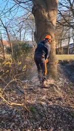 Gratis uw bomen zagen of singel onderhoud, Tuinonderhoud of Snoeiwerk
