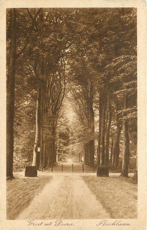 (388-415-029) Doorn Fleschlaan, Verzamelen, Ansichtkaarten | Nederland, Utrecht, Verzenden