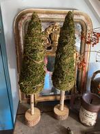 Boompjes van mos, Ophalen of Verzenden, Zo goed als nieuw