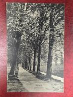 Rijswijk Julialaantjes, Ophalen of Verzenden, 1940 tot 1960, Zuid-Holland