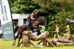 Leuke spring D-pony, Dieren en Toebehoren, Pony's, Ruin, Niet van toepassing, Springpony, Gechipt