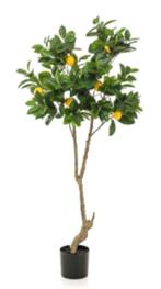 kunst lemon tree 150cm, Huis en Inrichting, Ophalen of Verzenden