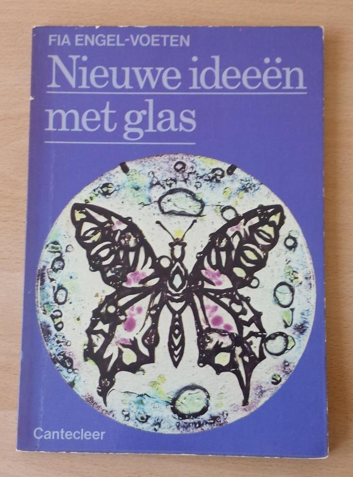 Nieuwe Ideeën met Glas - Fia Engel - 1976, Boeken, Hobby en Vrije tijd, Gelezen, Overige onderwerpen, Ophalen of Verzenden