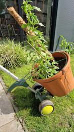 Plantenbak tiller, Ophalen, Zo goed als nieuw