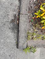 Gratis Betonnen Biels - Tuin/Oprit (Oostvoorne), Ophalen, Gebruikt, Biels, Minder dan 25 cm