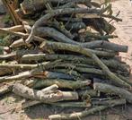 Hout van walnoten boom, Tuin en Terras, Haardhout, 3 tot 6 m³, Ophalen, Overige houtsoorten, Takken