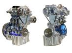 Ford Ecoboost/ Duratec (natte) distributieriem vervangen?, Garantie, Overige werkzaamheden