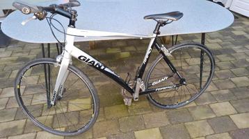 Giant racefiets, recht stuur, uitverkoop!!! beschikbaar voor biedingen
