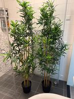 Kunstplant IKEA, Ophalen, Zo goed als nieuw, Binnen