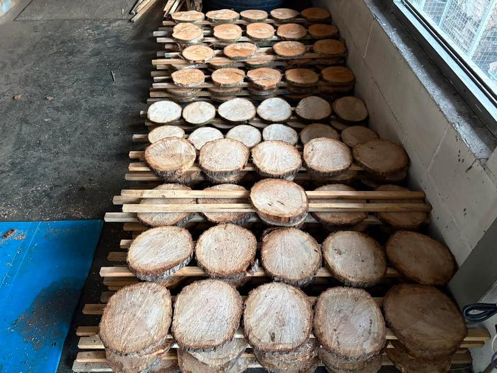 Houten schijven van verschillende soorten en grootte, Doe-het-zelf en Verbouw, Hout en Planken, Nieuw, Plank, Ophalen