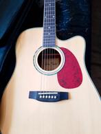 Harley Benton semi, acoustic,gitaar,d-120cent., Ophalen, Nieuw, Western- of Steelstringgitaar, Met koffer