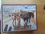 puzzel de schelpenvisser Cornelis Jetses 1000 stukjes, Ophalen, 500 t/m 1500 stukjes, Zo goed als nieuw, Legpuzzel