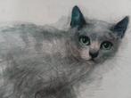 Kat,tekening . "Mads Stage", Antiek en Kunst, Kunst | Tekeningen en Foto's, Ophalen