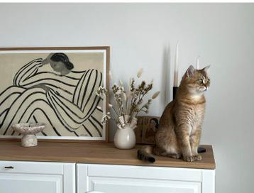 Ikea Besta met lades - afbeelding 2