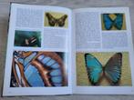 Vlinder encyclopedie Wijbren Landman, Verzenden, Zo goed als nieuw, Natuur algemeen