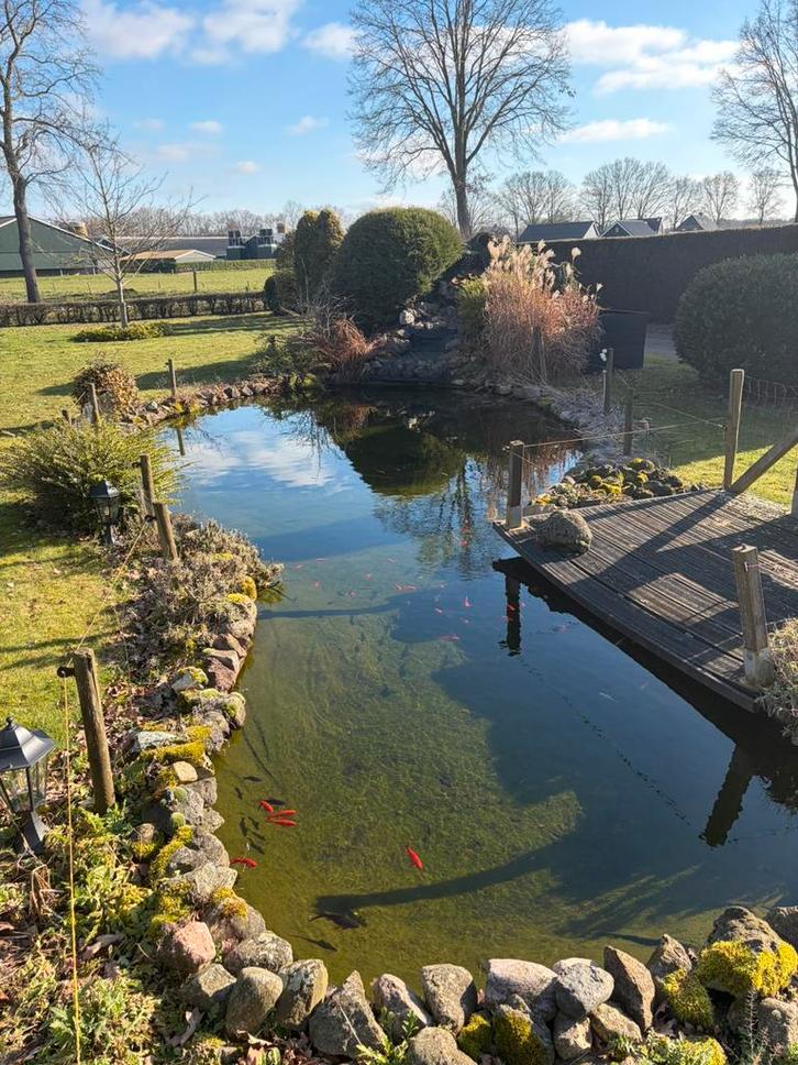 Complete vijver / grote vijverpomp, Tuin en Terras, Vijvers, Zo goed als nieuw, Ophalen