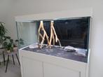 Aquarium met kast en schuifdeuren, Dieren en Toebehoren, Vissen | Aquaria en Toebehoren, Ophalen, Gebruikt, Leeg aquarium