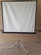 Da-Lite projectiescherm met statief!, Ophalen of Verzenden, Zo goed als nieuw
