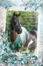 mooie presentatieset voor minipaardjes of ponies, Ophalen of Verzenden, Zo goed als nieuw, Overige soorten