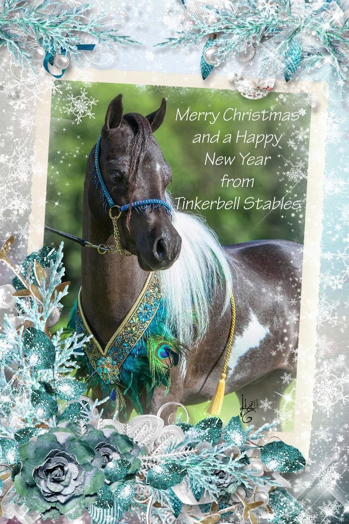 mooie presentatieset voor minipaardjes of ponies, Dieren en Toebehoren, Paarden en Pony's | Hoofdstellen en Tuigage, Zo goed als nieuw