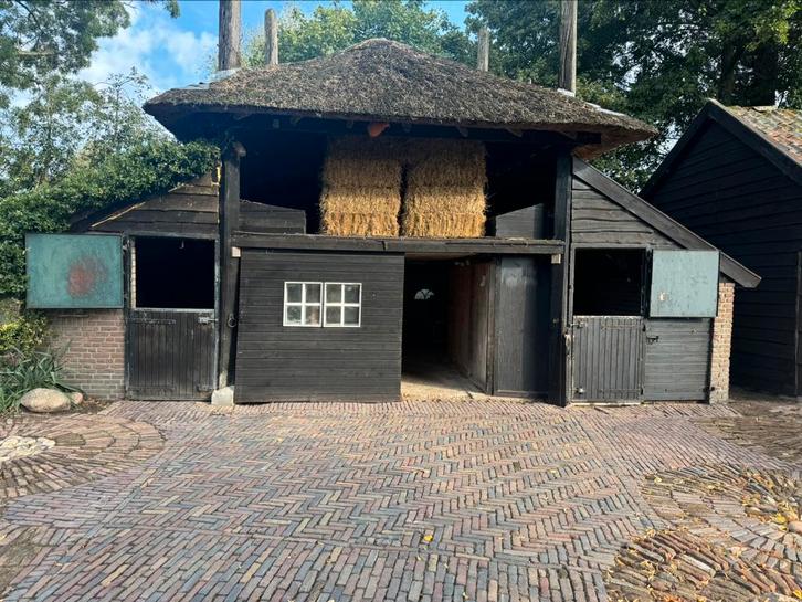 Twee paardenstallen met bak te huur aangeboden, Dieren en Toebehoren, Stalling en Weidegang