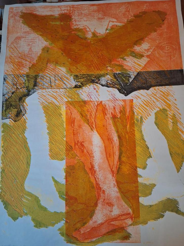 Grote moderne ets, Antiek en Kunst, Kunst | Etsen en Gravures, Ophalen of Verzenden