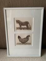 Han van Hagen Leeuwin & Kip etsen, Antiek en Kunst, Ophalen of Verzenden