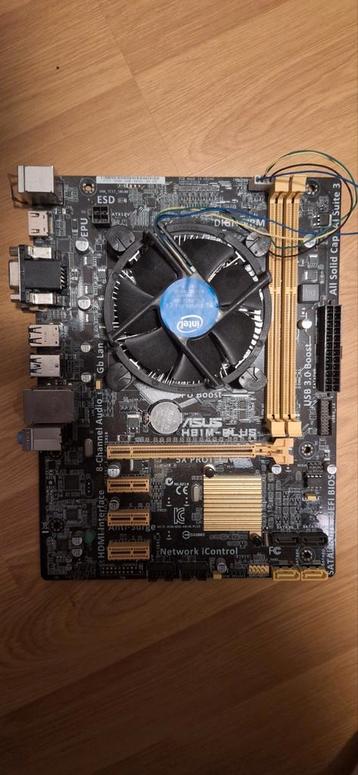Asus H81M-PLUS Moederbord beschikbaar voor biedingen
