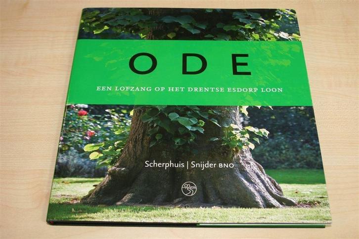 Ode aan Loon — Portret van een Drents Esdorp, Boeken, Geschiedenis | Stad en Regio, Zo goed als nieuw, Ophalen of Verzenden