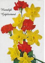 Ae37 Gelopen Ansichtkaart Hartelijk Gefeliciteerd, Verzamelen, Ansichtkaarten | Themakaarten, Ophalen of Verzenden, 1980 tot heden