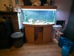Aquarium juwel vision 265l, Dieren en Toebehoren, Ophalen of Verzenden, Leeg aquarium