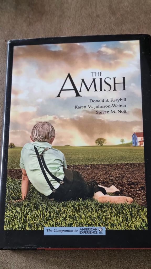 The Amish - Donald B. Kraybill (Boek), Ophalen of Verzenden, Zo goed als nieuw