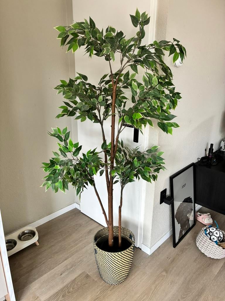 Kunstplant  IKEA, Ophalen, Zo goed als nieuw