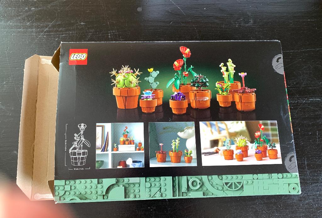 LEGO Icons Botanical Collection - 10329 (lege doos), Ophalen of Verzenden, Gebruikt