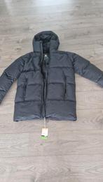 Brunotti jas maat M waterproof Nieuw, Overige merken, 160 tot 180 cm, Nieuw, Ophalen of Verzenden