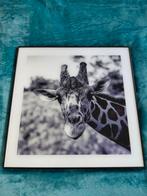 Schilderij glas, giraffe, Antiek en Kunst, Ophalen