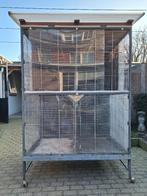 Vogelkooi met toebehoren, Dieren en Toebehoren, Vogels | Hokken en Kooien, Ophalen, Gebruikt, Metaal, Vogelkooi