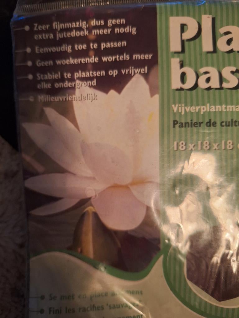 Waterlelie 2x , volwassen lelies wit & roze, Ophalen
